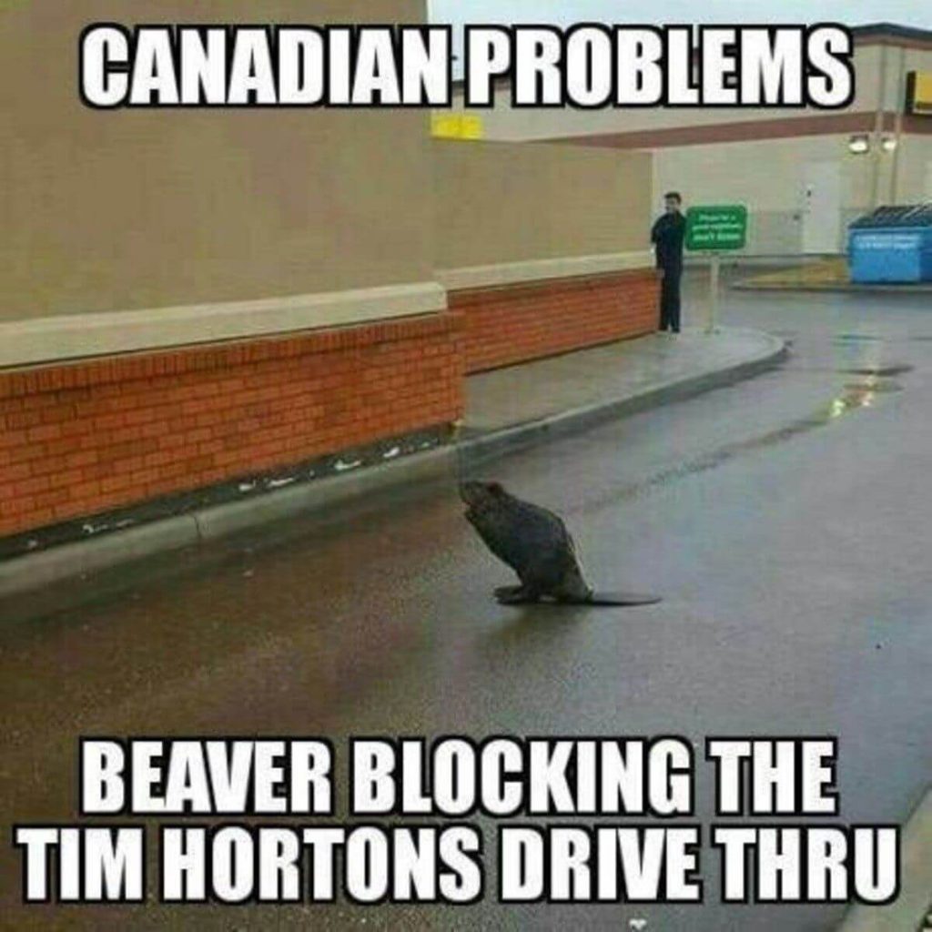 Funny Canada Day Images